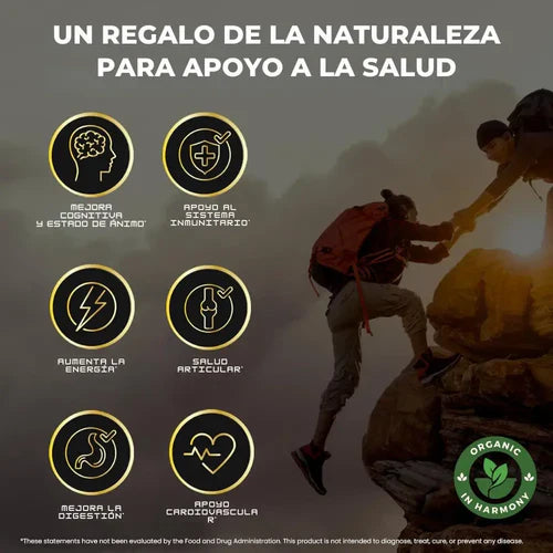 Shilajit Gummies Premium – Energía y Vitalidad (160g)