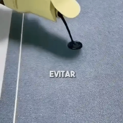 Encabezado